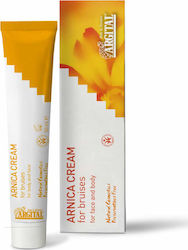 Argital Specific Products Arnica Cream 50ml Argital Specific Products Arnica Cream 50ml