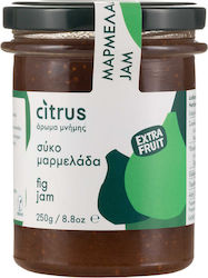 Citrus Marmelade