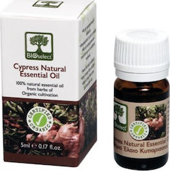Bioselect Natural Organic Cypress Essential Oil 5ml Bioselect Natural Organic Cypress Essential Oil 5ml