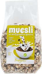 Βιο Αγρός Φρούτων Muesli 500gr