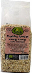 Όλα Bio Organic Flakes Oatmeal Whole Grain 300gr 1pcs ΒΙΟ175