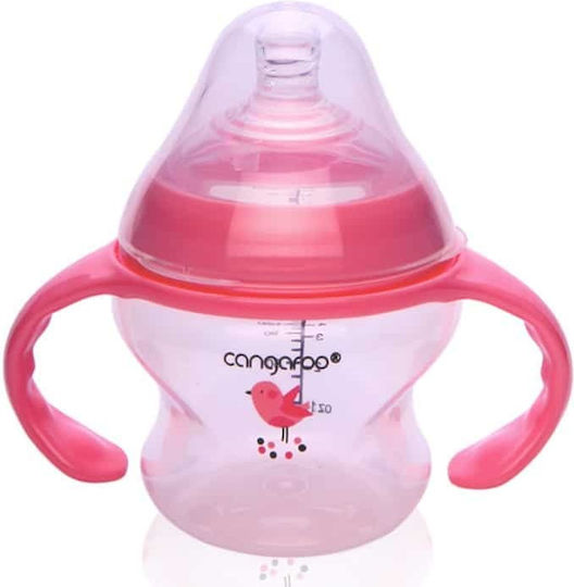 Cangaroo Tiki Girl Educational Sippy Cup Plastic with Handles Pink for 0m+m+ 150ml