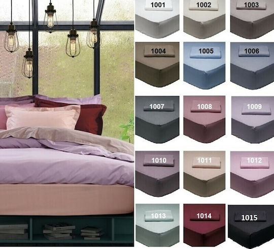 Das Home Sheet for Single Bed with Elastic 100x200+35cm. Best 1014 Bordeaux