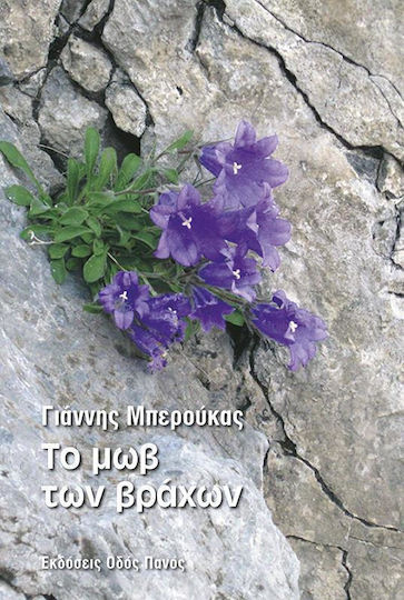 Το μωβ των βράχων Το μωβ των βράχων