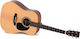 Sigma Guitars Acoustic Guitar Natural Natural