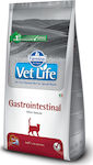 Farmina Vet Life Gastrointestinal Dry Food for Adult Cats with Sensitive Digestive System with Chicken 5kg