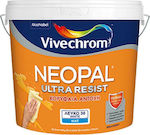 Vivechrom Neopal Ultra Resist Plastic Paint for Interior Use White 3lt