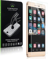 Terrapin Antiscratch Glass Ascend P8 Terrapin Terrapin Antiscratch Glass Ascend P8 Terrapin