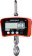 Factory-1000 Electronic Professional Hanging Scale with Weighing Capacity of 1000kg and Division 200gr