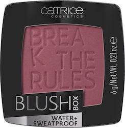 Catrice Cosmetics Blush Box 6gr