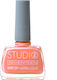 Seventeen Studio Rapid Dry Lasting Color 70