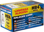 Lampa Lamps Car Halogen Lamp HB4-9006 Halogen 12V 55W 1pcs