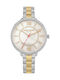 Daisy Dixon Bella Watch with Gold Metal Bracelet