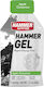 Hammer Nutrition Hammer Gel Apple Cinnamon 33gr