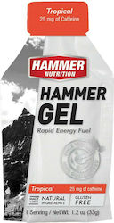Hammer Nutrition Hammer Gel 33gr