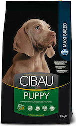 Farmina Cibau Puppy Maxi 2.5kg Dry Food for Puppies of Large Breeds with Corn, Chicken and Rice