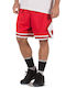 Chicago Bulls Icon Edition Swingman Shorts Style Basketball
