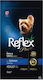 Reflex Plus Salmon Small Breed Adult Dog Complete Food Adult Small Breed Dogs Salmon 3 Kg