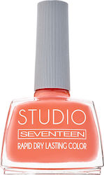 Seventeen Studio Rapid Dry Lasting Color Luciu ...