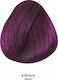 Bioshev Professional Hair Color Cream 0.22 Βιολέ
