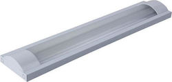 Eurolamp Lighting Batten T8 with 2 Slots for LED Bulbs