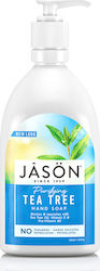 Jason Săpun Lichid Purificator Cu Arbore De Ceai 473ml