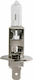 Carpoint Lampen Auto & Motorrad H1 Halogen Weiß 12V 55W 1Stück