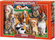 Dog Club Puzzle 2D 3000 Pieces