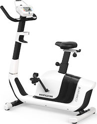 Horizon Fitness Comfort 3 Upright Exercise Bike Electromagnetic