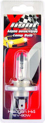 Autoline Lampen Auto & Motorrad Xlight H4 Halog...