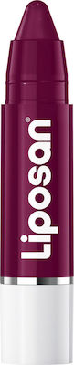 Liposan Crayon Lip Balsam Black Cherry 3gr