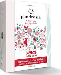 Pandrosia Xmas Set de Îngrijire a Părului pentru Hidratare 2buc Pandrosia Xmas Set de Îngrijire a Părului pentru Hidratare 2buc