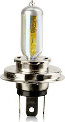 Automax Vecta Azzuro Lampe H4 Halogen