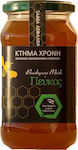 Κτήμα Χρόνη Organic Honey Pine 630gr