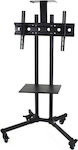 HOP1000387-1 TV Mount Floor up to 55" and 50kg