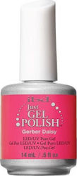 IBD Gel Nail Polish Gerber Daisy Colour 14ml