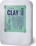 Gyeon Ointment Cleaning for Body Q2M Clay 100gr