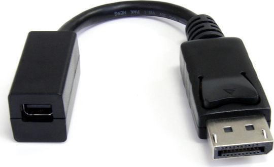 StarTech Konverter DisplayPort männlich zu Mini-DisplayPort weiblich 1Stück DP2MDPMF6IN