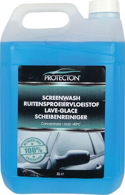 Protecton Frostschutzreiniger Flüssig Autoglas 5lt 1890915