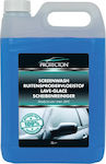 Protecton Liquid Cleaning for Windows Screen Wash -20 °C 5lt 1890917