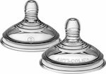 Tommee Tippee Babyflaschensauger für 3+ Monate 2Stück