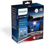 Philips Λάμπες Αυτοκινήτου X-tremeUltinon Gen 2 +250% H4 Led 5800K Ψυχρό Λευκό 13.2V 22W 2τμχ