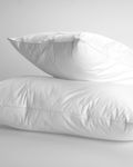 Pennie Abisko Sleep Pillow Feathered Medium 50x70cm