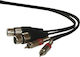 Ibiza Sound Cable 2x XLR female - 2x RCA male 3m (CM3RXF-2)