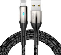 Baseus USB-A zu Lightning Blitzkabel 2m (CALSP-C01) Baseus USB-A zu Lightning Blitzkabel 2m (CALSP-C01)