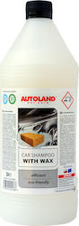 Autoland Shampoo Cleaning for Body Shampoo With Wax 1lt 111001099