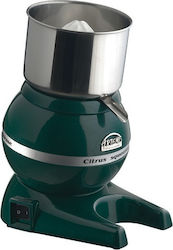 Artemis Storcător Colour AK/5 Verde 125W