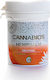 Cannabios Hemp Balm 50ml Neutral