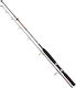 Shimano Vengeance Jig Boat Fishing Rod for Jigging / Spinning 1.83m 100-300gr