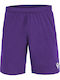 Mesa Hero Shorts Style Football